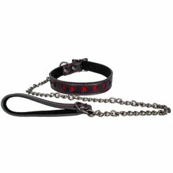 Top 10 👍 Bondara Faux Leather Heart Collar With Black Leash 🎁