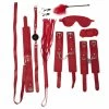 Buy 🤩 Bondara Red Faux Leather 9 Piece Bondage Set ✨ -Bondage Clothing Sale unnamed file 125