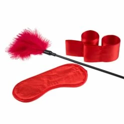 Cheapest 🤩 Bondara Introduction To Bondage Red Starter Set ✨