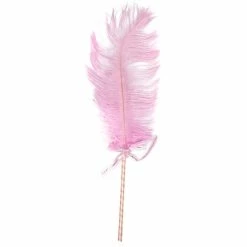Buy 💯 Bondara Ostrich Feather Teaser - 16 Inch 🎉