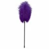 Wholesale 🥰 Bondara Purple Ostrich Feather Tickler - 17 Inch 😉 -Bondage Clothing Sale unnamed file 689