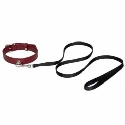 Best deal 🤩 Bondara Red Faux Leather Collar With Leash 🌟