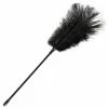 Hot Sale โ๏ธ Bondara Black Ostrich Feather Tickler - 17 Inch ๐ 2 Hot Sale โ๏ธ Bondara Black Ostrich Feather Tickler - 17 Inch ๐ -Bondage Clothing Sale unnamed file 778