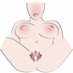 Deals 👏 Bondara&Sex Silicone Intimate Pleasure Spreader ⌛ -Bondage Clothing Sale unnamed file 897