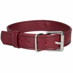 Best deal 🤩 Bondara Red Faux Leather Collar With Leash 🌟 -Bondage Clothing Sale unnamed file 9